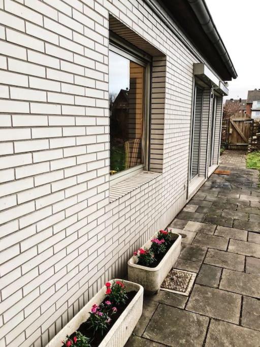 Charmante Gartenwohnung Mit Privatem Grossen Garten 科隆 外观 照片
